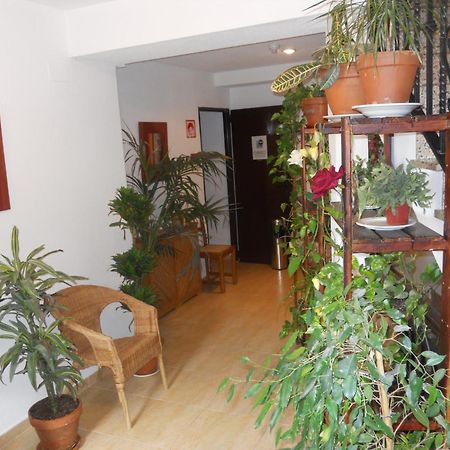 Hostal El Descanso Madrid Dış mekan fotoğraf