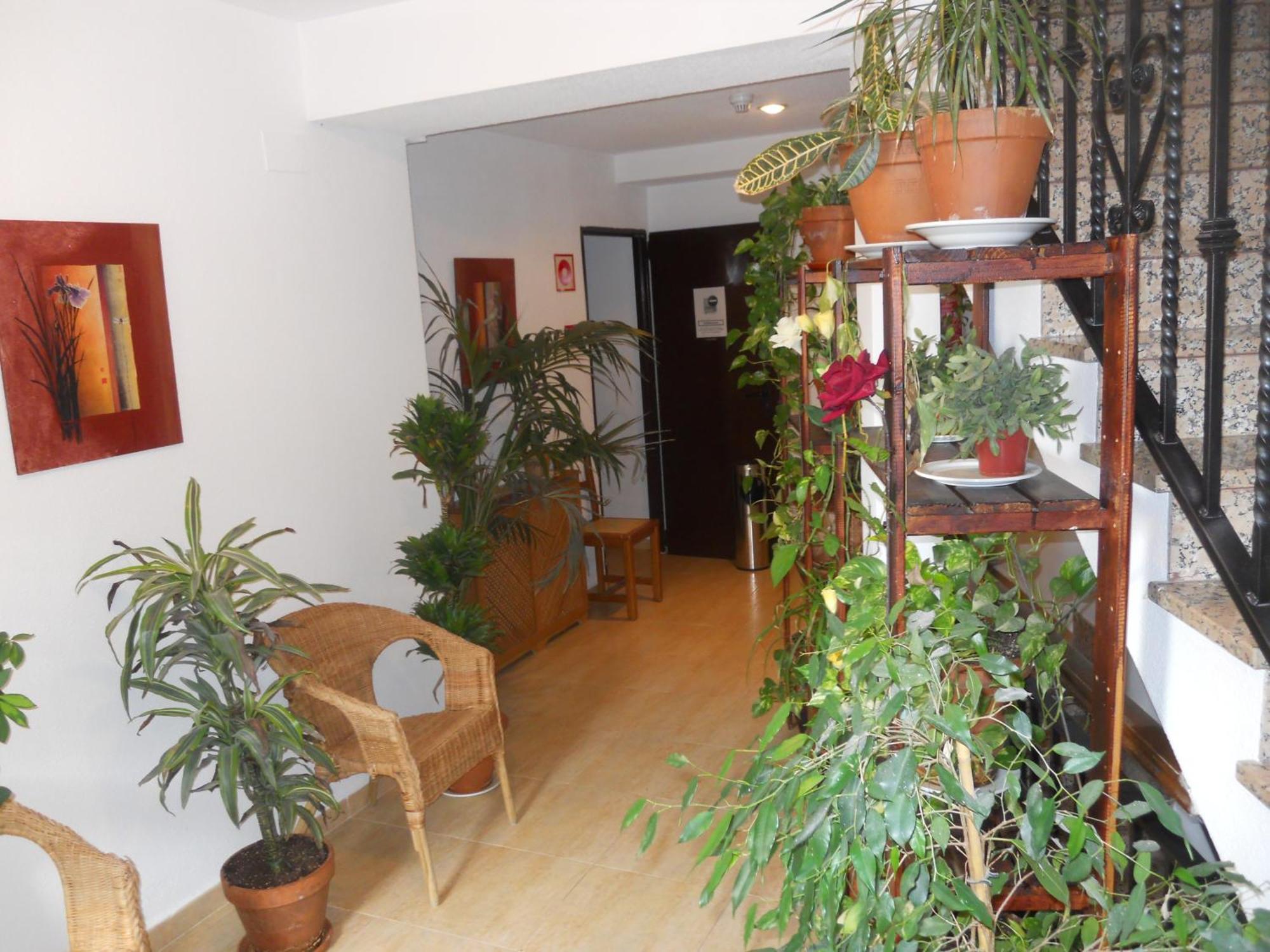 Hostal El Descanso Madrid Dış mekan fotoğraf